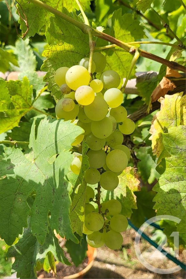 maison à vendre - 7 pièces - 208.21 m2 - BALLANCOURT SUR ESSONNE - 91 - ILE-DE-FRANCE - Century 21 Eureka