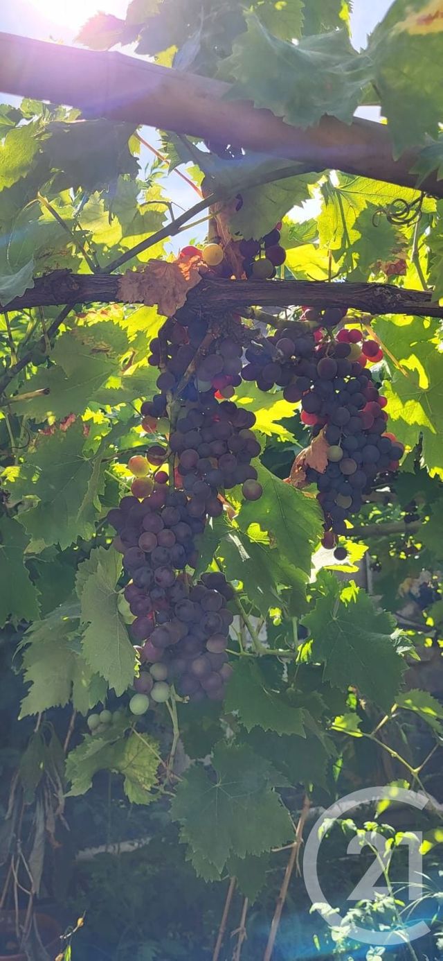 maison à vendre - 7 pièces - 208.21 m2 - BALLANCOURT SUR ESSONNE - 91 - ILE-DE-FRANCE - Century 21 Eureka