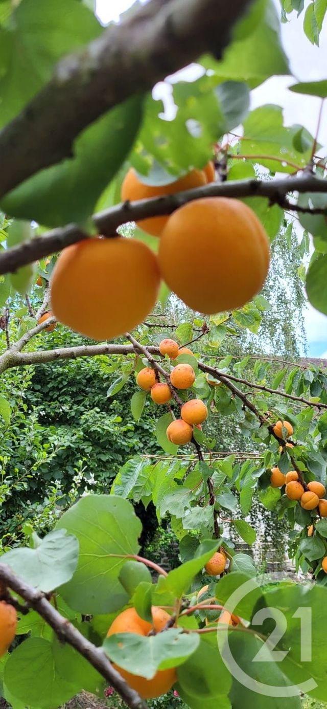 maison à vendre - 7 pièces - 208.21 m2 - BALLANCOURT SUR ESSONNE - 91 - ILE-DE-FRANCE - Century 21 Eureka