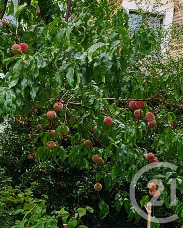 maison à vendre - 7 pièces - 208.21 m2 - BALLANCOURT SUR ESSONNE - 91 - ILE-DE-FRANCE - Century 21 Eureka